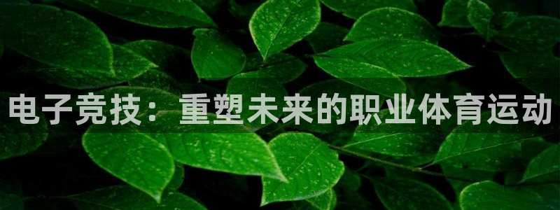 ob电竞平台：电子竞技：重塑未来的职业体育运动