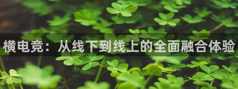 ob电竞网站：横电竞：从线下到线上的全面融合体验