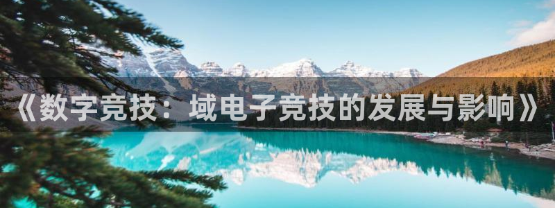 ob电竞俱乐部：《数字竞技：域电子竞技的发展与影响》