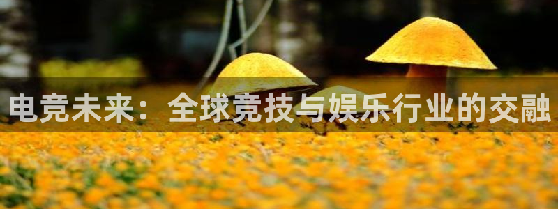 ob电竞俱乐部