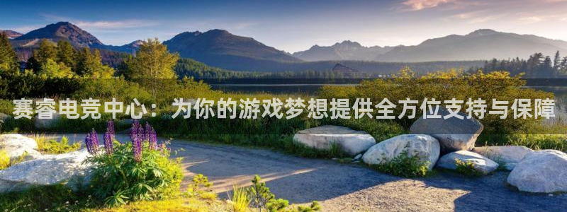 ob电竞俱乐部：赛睿电竞中心：为你的游戏梦想提供全方位支持与保障