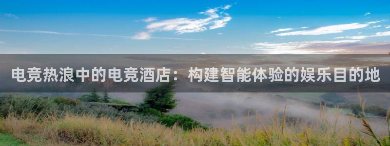 ob电竞官网：电竞热浪中的电竞酒店：构建智能体验的娱乐目的地