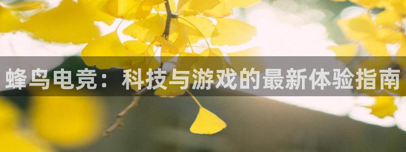ob电竞官网入口：蜂鸟电竞：科技与游戏的最新体验指南
