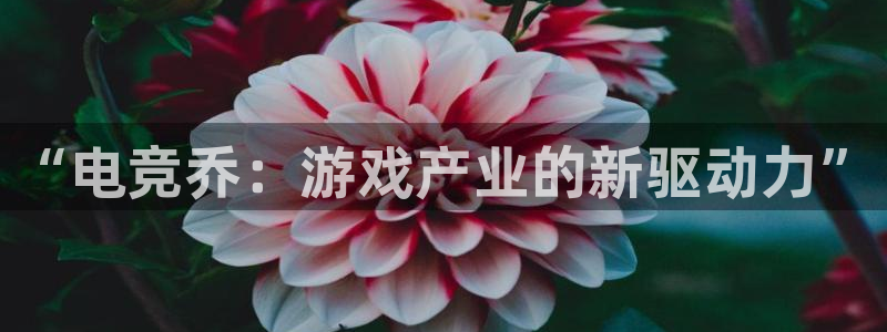 ob电竞网站：“电竞乔：游戏产业的新驱动力”