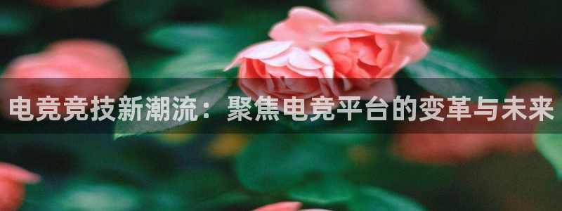 ob电竞官网入口：电竞竞技新潮流：聚焦电竞平台的变革与未来