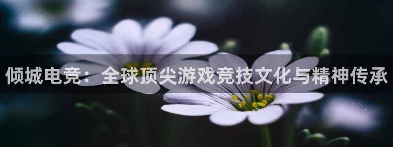 ob电竞网站：倾城电竞：全球顶尖游戏竞技文化与精神传承