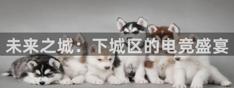 ob电竞网站：未来之城：下城区的电竞盛宴