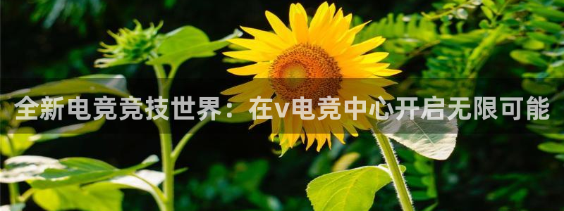 ob电竞官网入口：全新电竞竞技世界：在v电竞中心开启无限可能