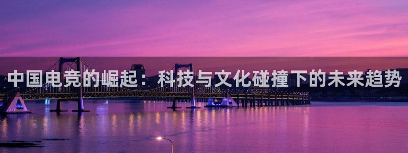 ob电竞官网：中国电竞的崛起：科技与文化碰撞下的未来趋势