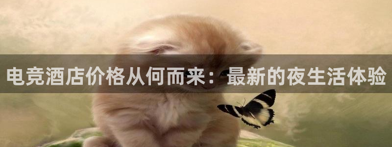 ob电竞官网入口：电竞酒店价格从何而来：最新的夜生活体验
