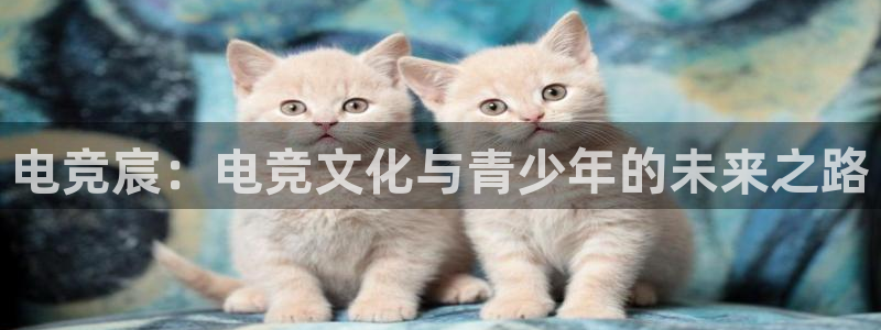 ob电竞平台：电竞宸：电竞文化与青少年的未来之路