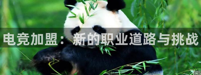 ob电竞俱乐部：电竞加盟：新的职业道路与挑战